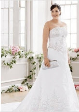 Strapless Embroidery Plus Size Wedding Dresses