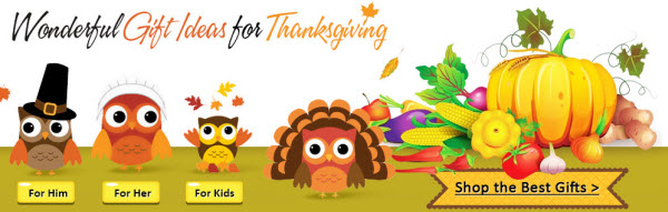 Everbuying.com Thanksgiving Day 2013 deals