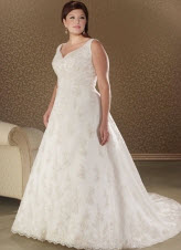 Spaghetti Embroider Plus Size Wedding Dresses