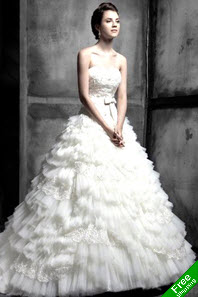 Organza Wedding Dresses 2011