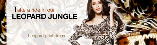 Leopard Print Dresses at Lightinthebox