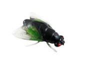 Plastic Insect Shaped Toys