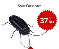 Solar Cockroach
