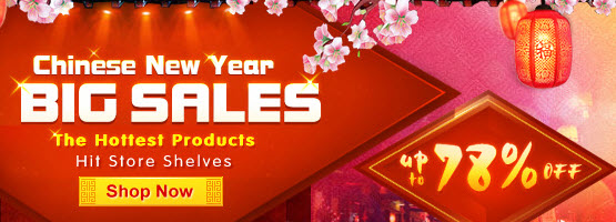 2013 Chinese New Year Deals at Tmart.com